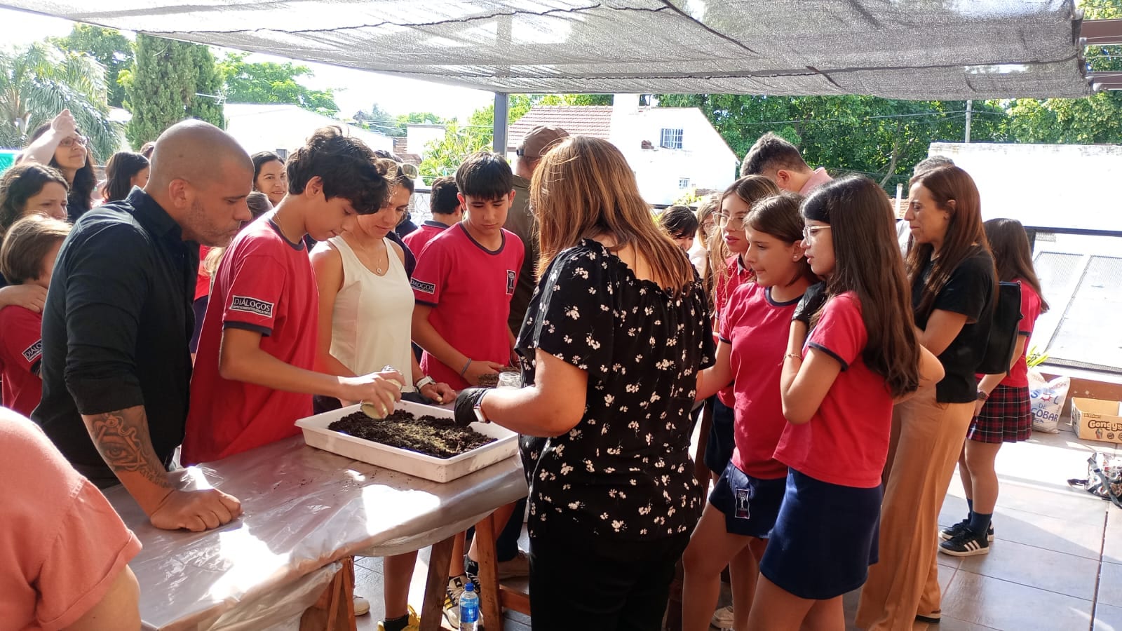 Ambiente y sostenibilidad